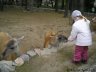 Kharkiv zoo 1.JPG - 